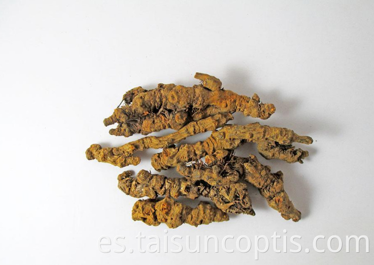Raw Chinese Herbs Erba Coptis